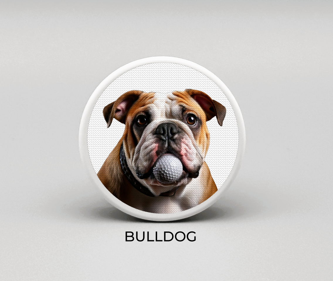 Bulldog