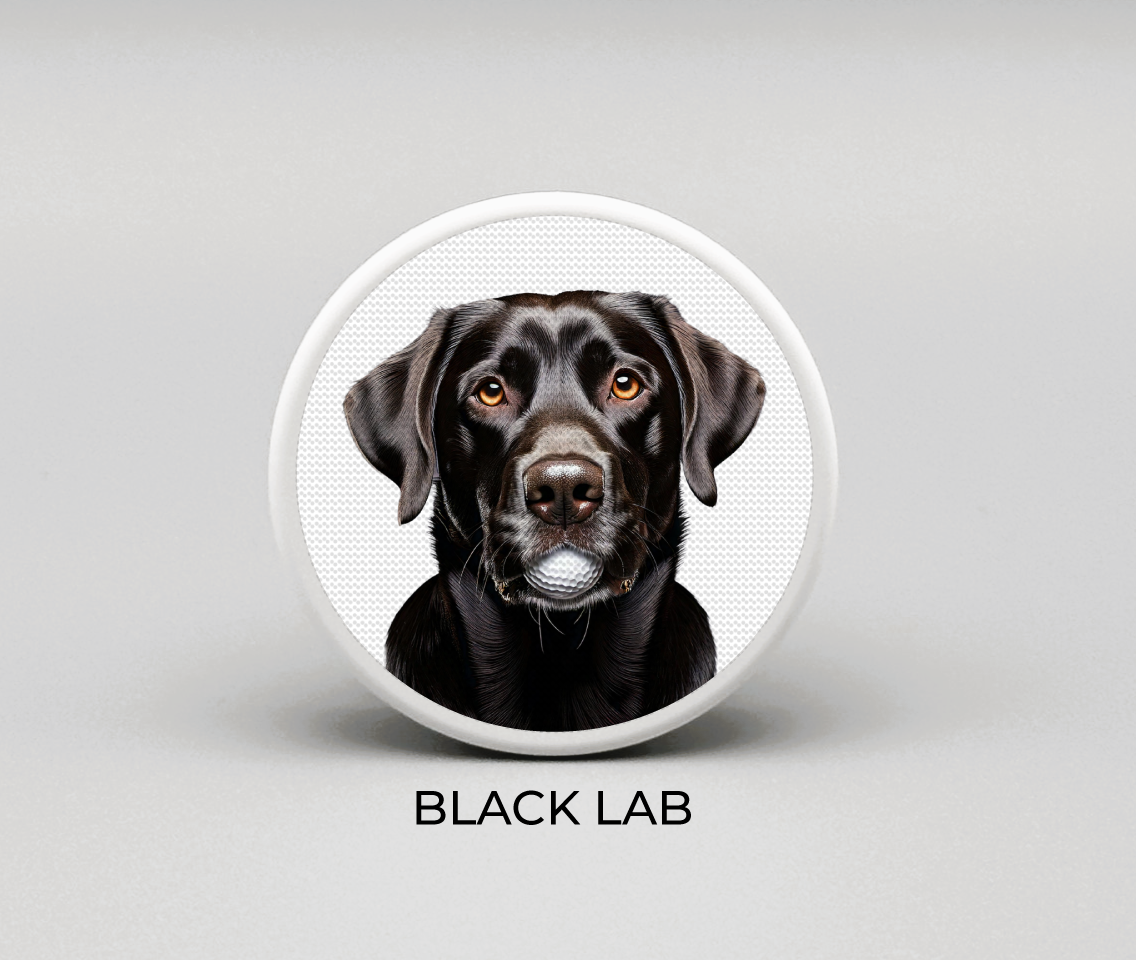 Black Lab