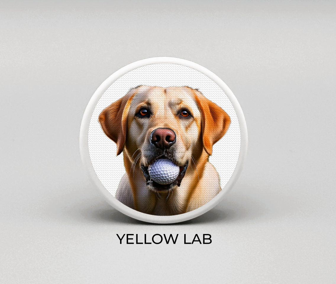 Yellow Lab