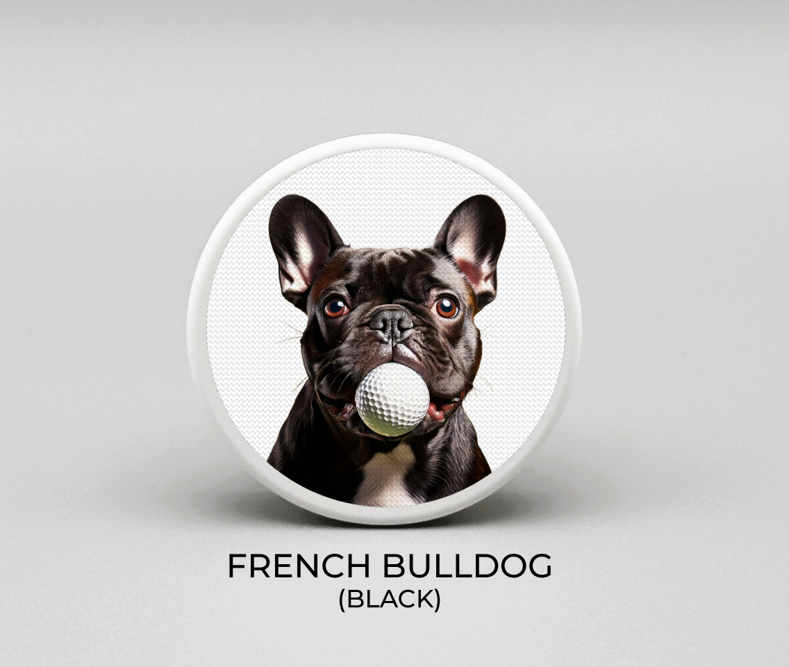 French Bulldog - Black