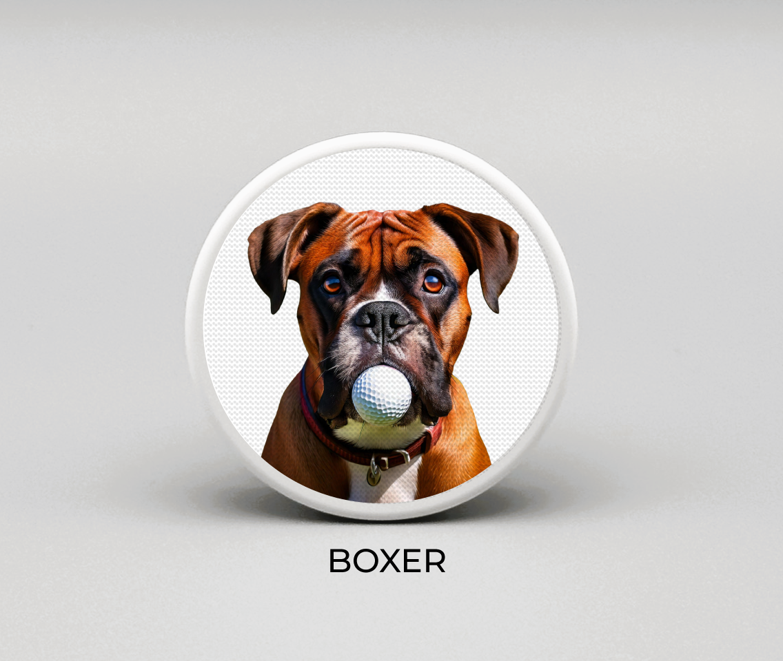 Boxer