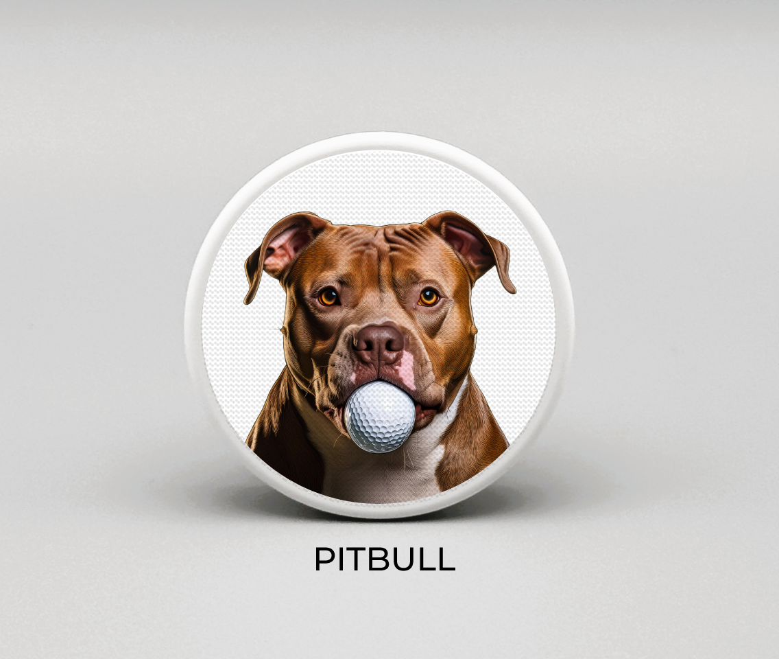 Pitbull