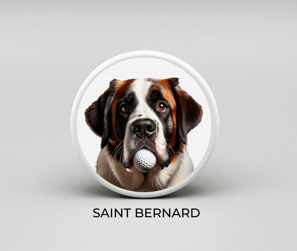 Saint Bernard