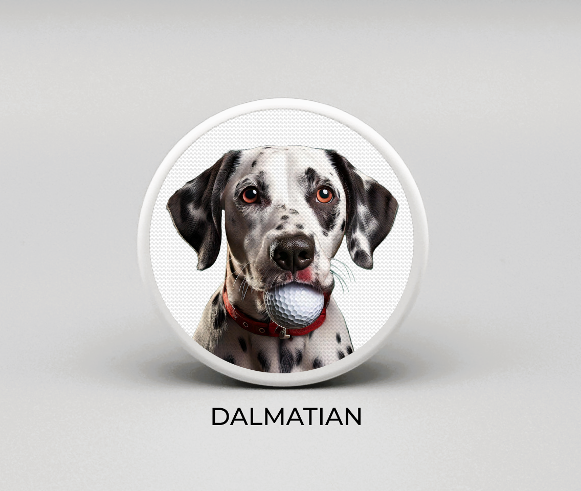 Dalmatian