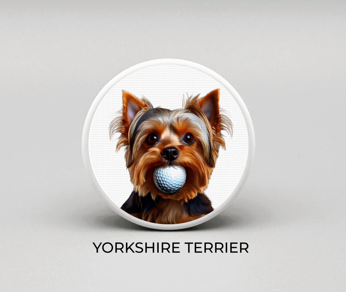 Yorkshire Terrier